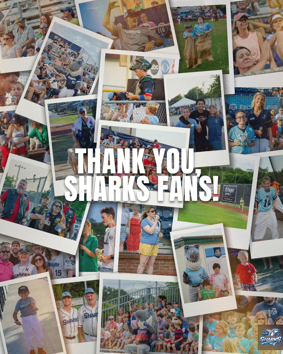 FAN APPRECIATION GFX.png