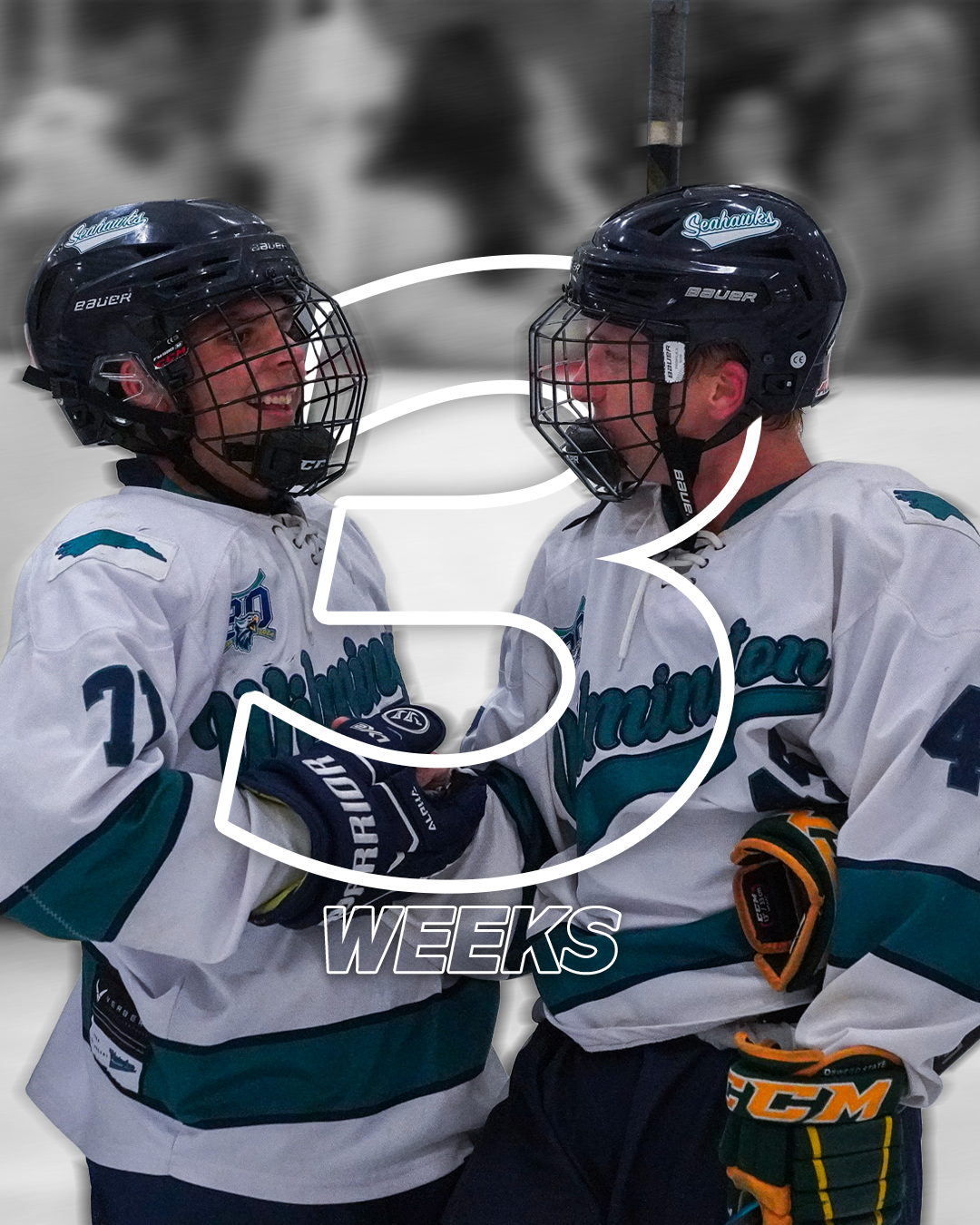 3 WEEKS.png