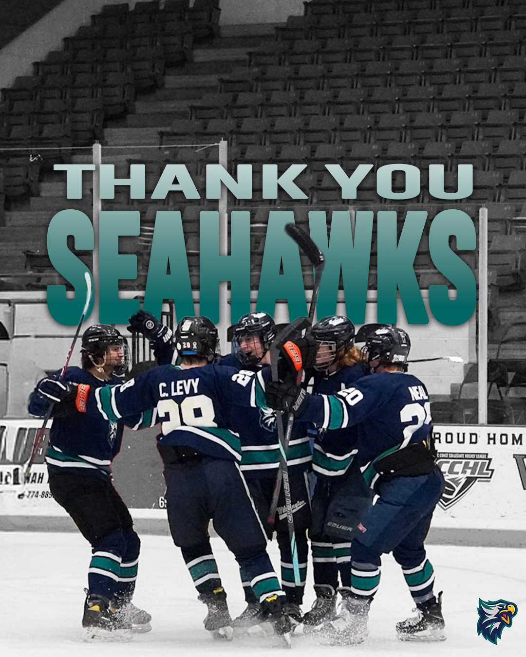 Thank You Seahawks GFX.png