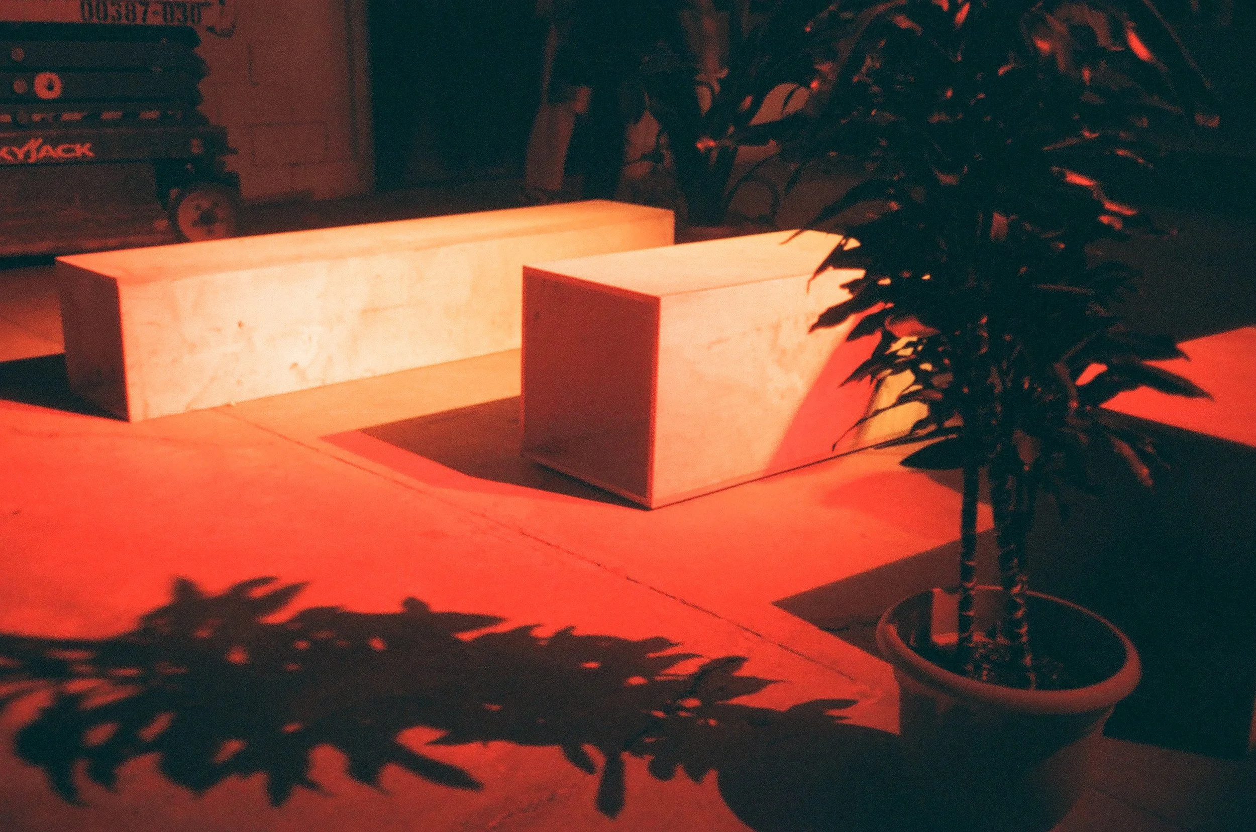 A wooden bench placed indoors with a plant nearby. The scene is illuminated with red lighting, creating shadows of the plant's leaves on the floor.