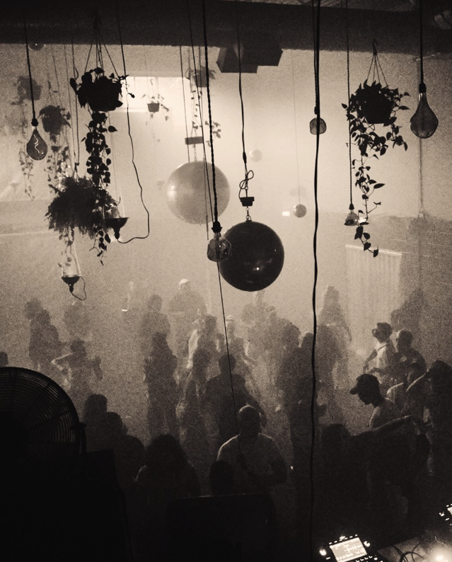 Silhouette of people dancing and socializing in a dimly lit indoor venue with hanging plants and decorative light bulbs.