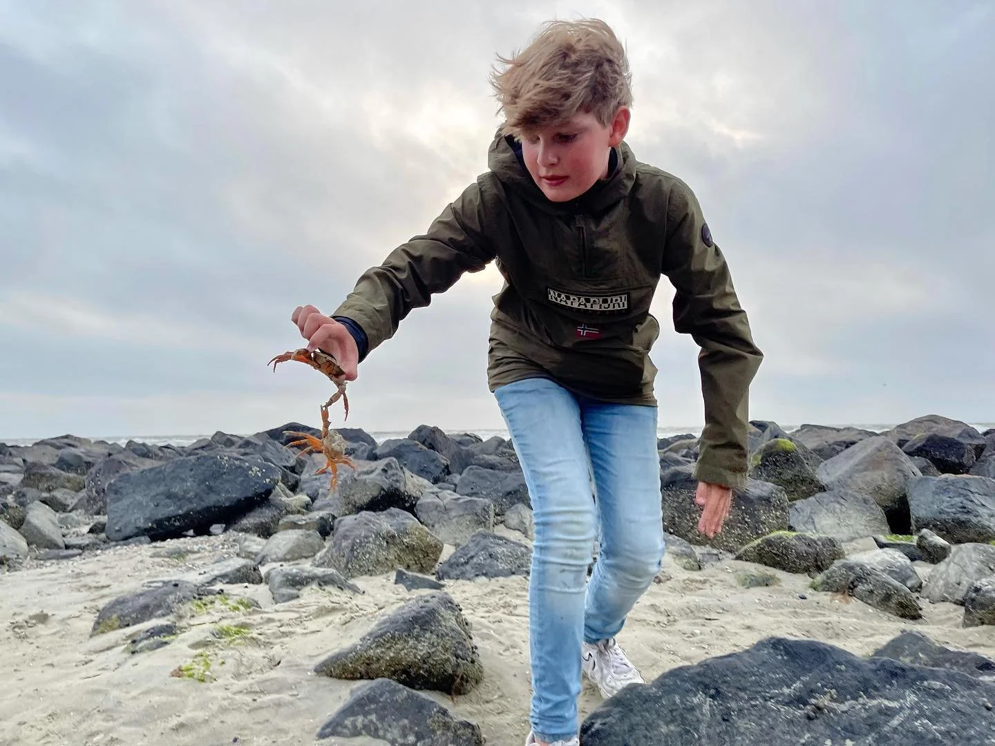 Crab to clingy crabs. Fresh air, at one with the sea, can&rsquo;t do better. #ameland #samenland #vakantiebungalow #amelexbungalowverhuur #wadden #waddeneiland #waddenzee #vakantieineigenland #vakantiehuis #vakantiebungalow #familievakantie #familie 