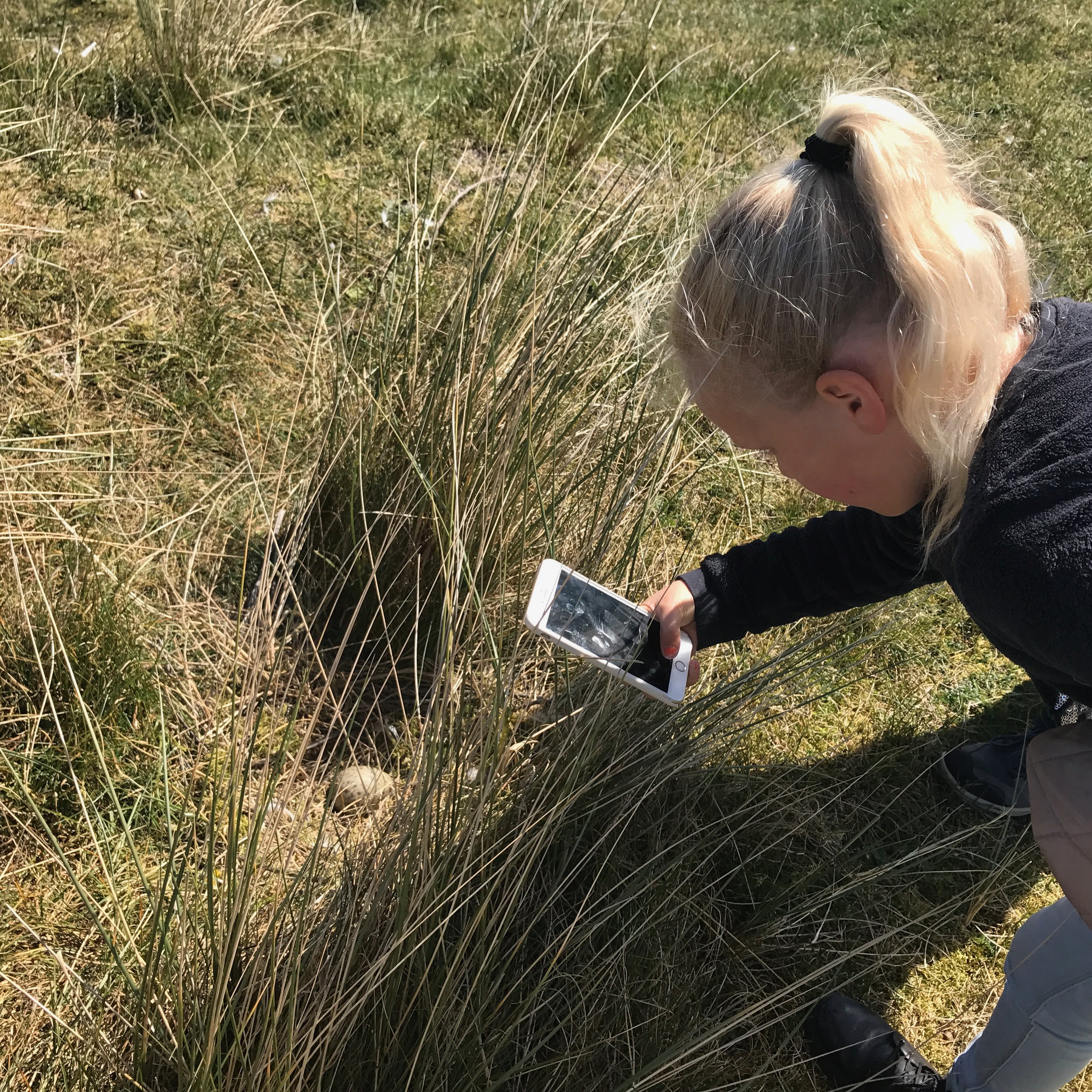 Meisje fotografeert iets in het duingras op Ameland