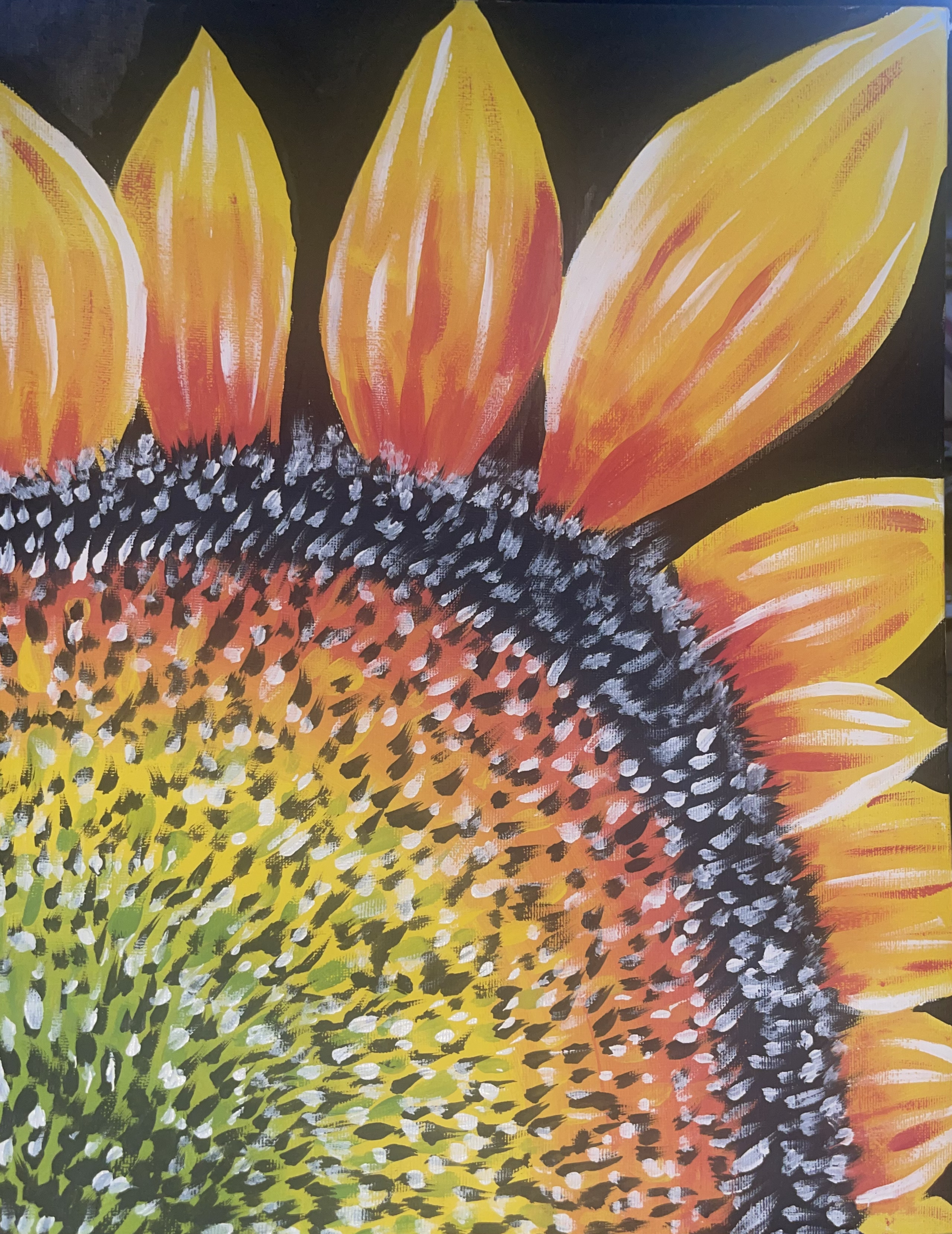 Sunflower.png
