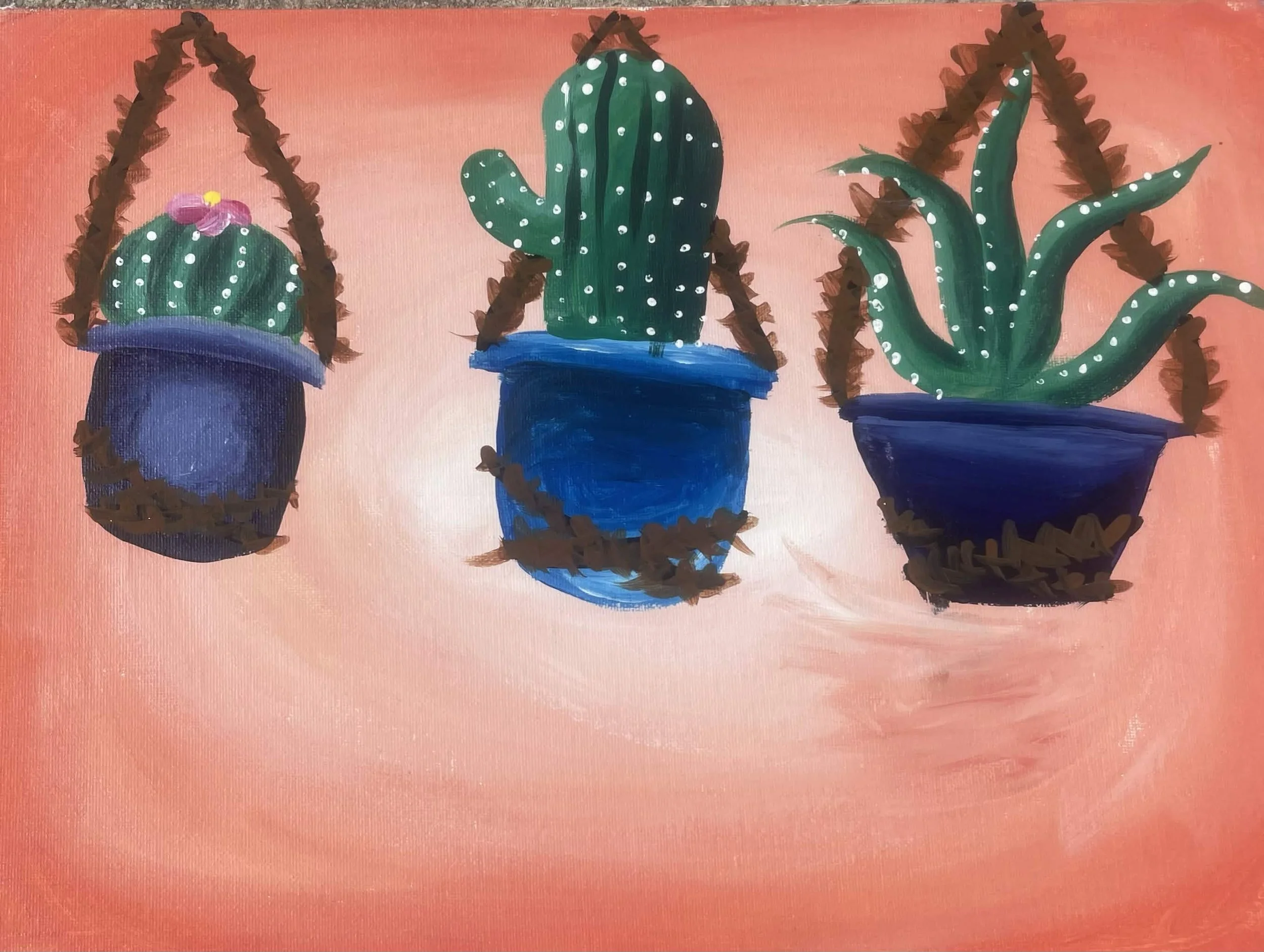 Boho Catus.jpg