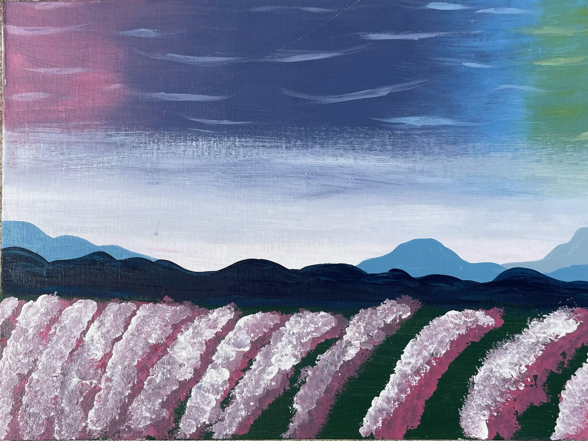 Field of Flowers.jpg