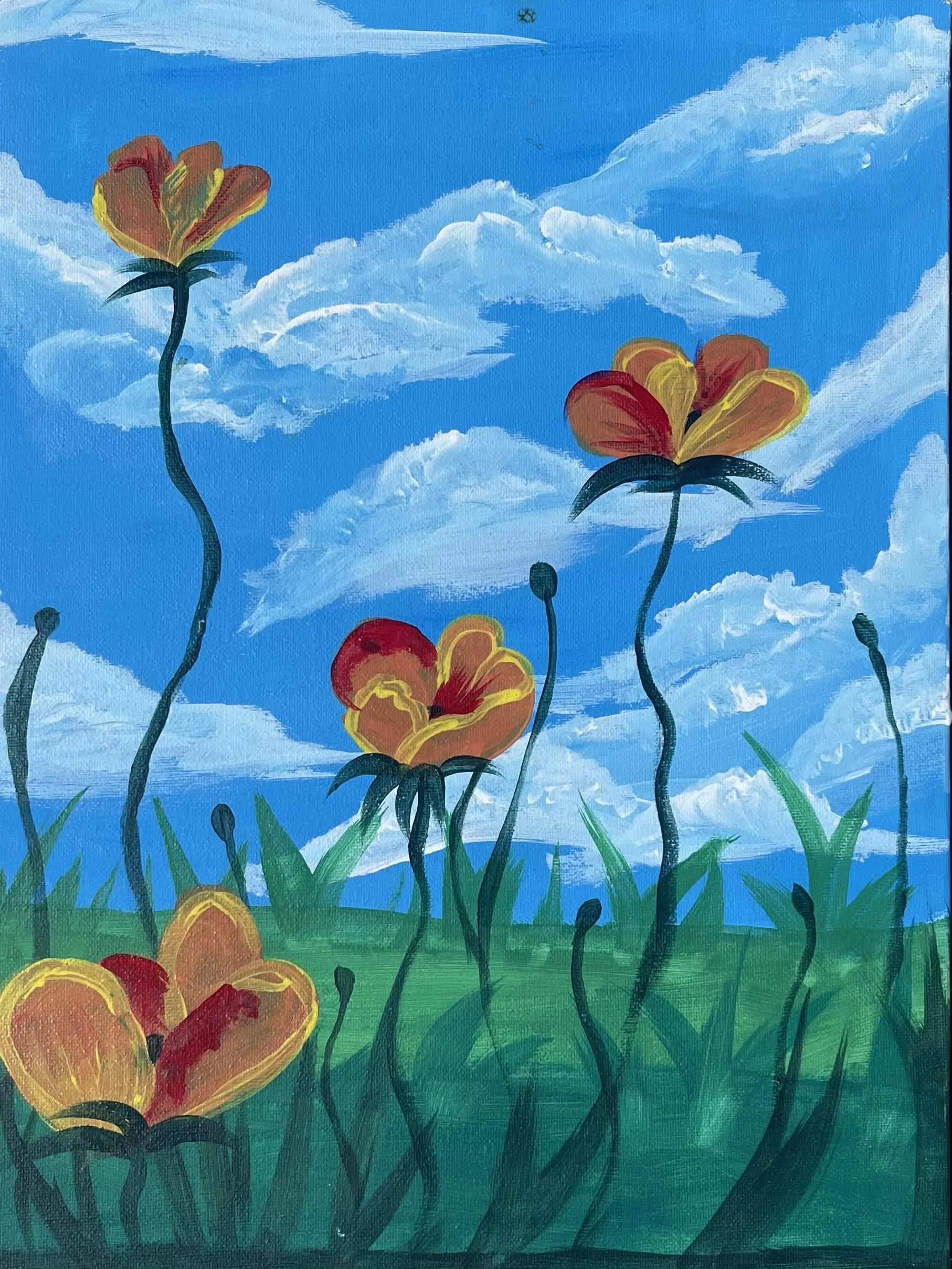 Poppies.jpg