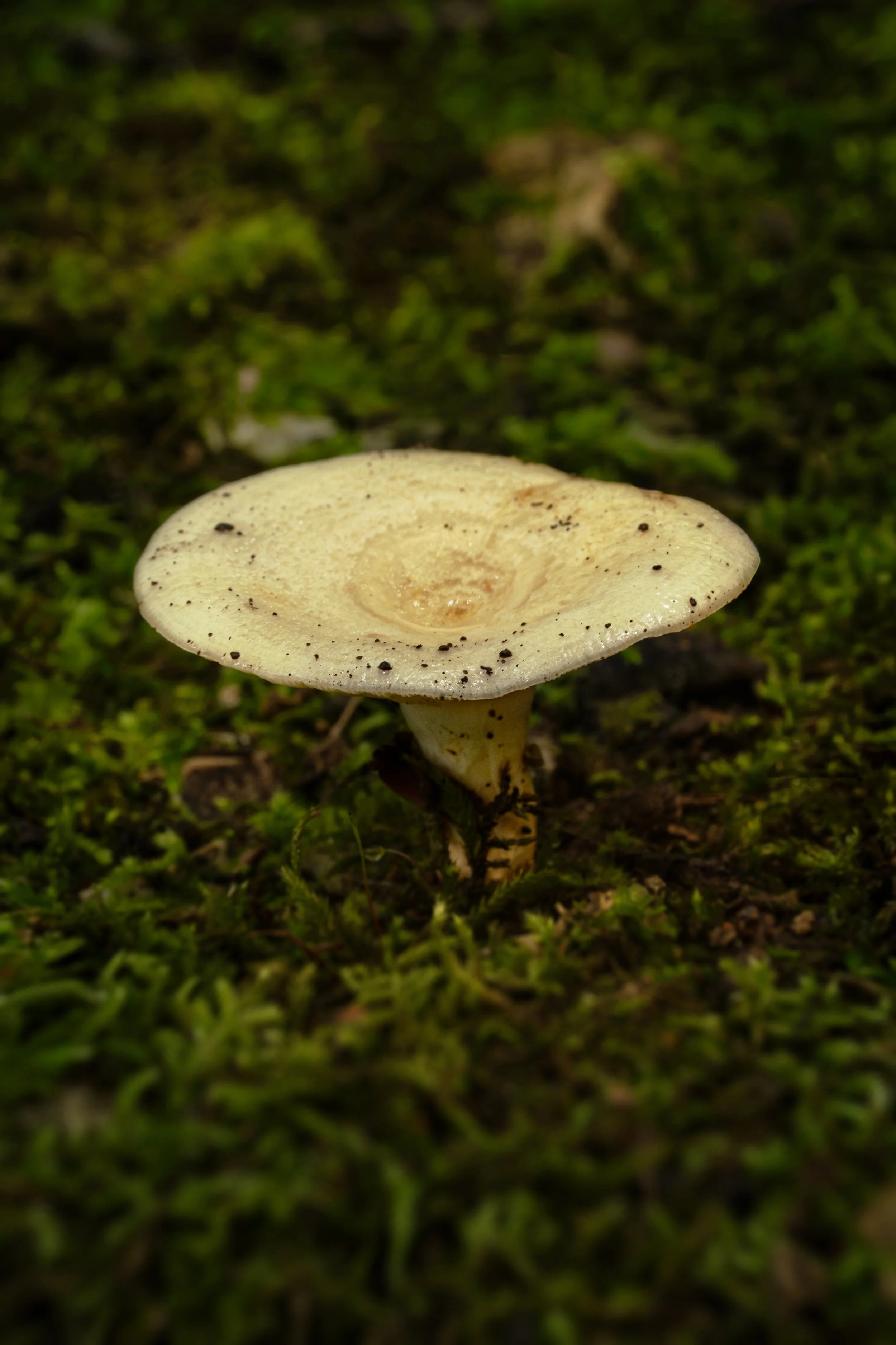 DSC07212.jpg