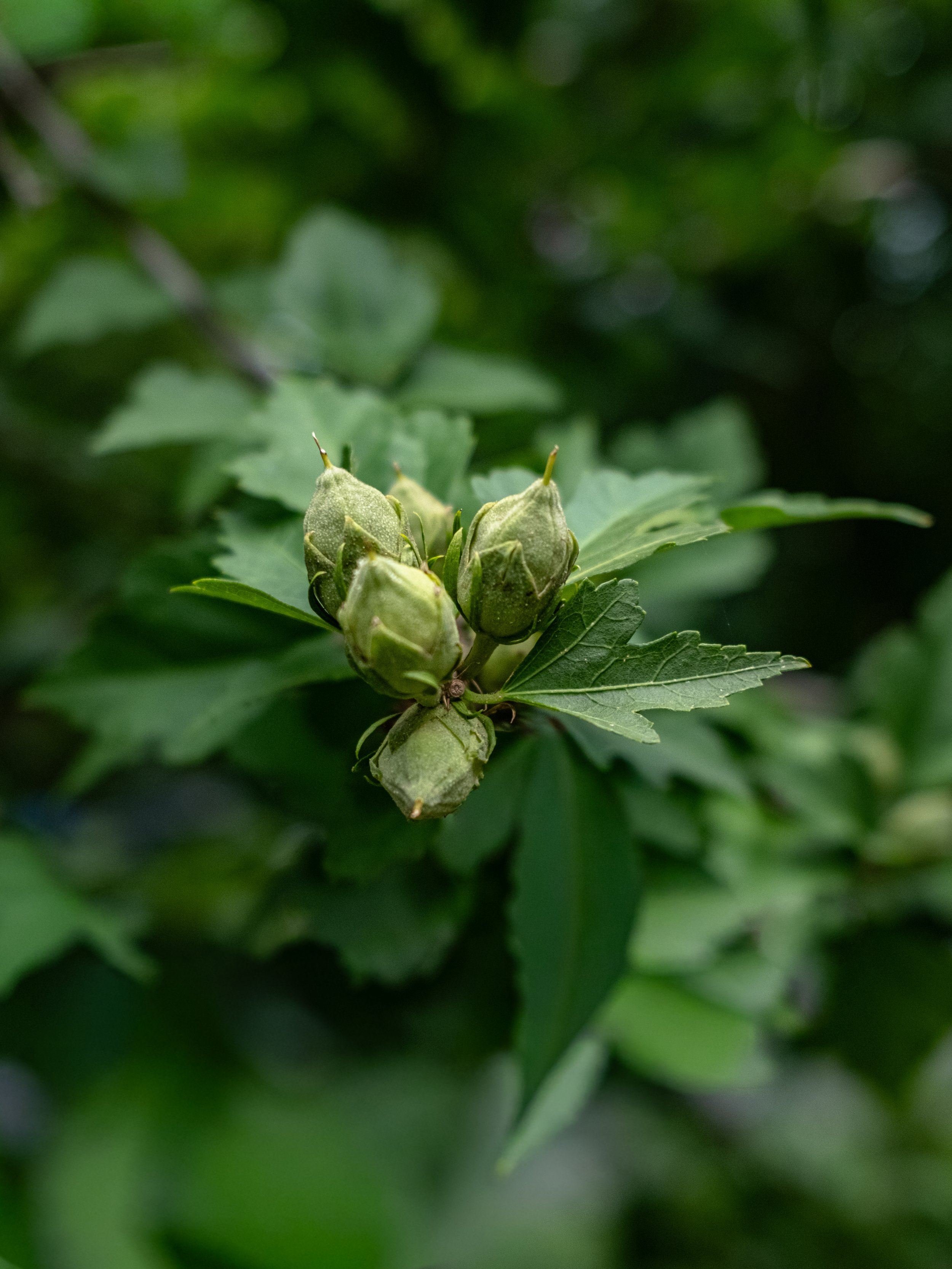 DSCF1061.jpg