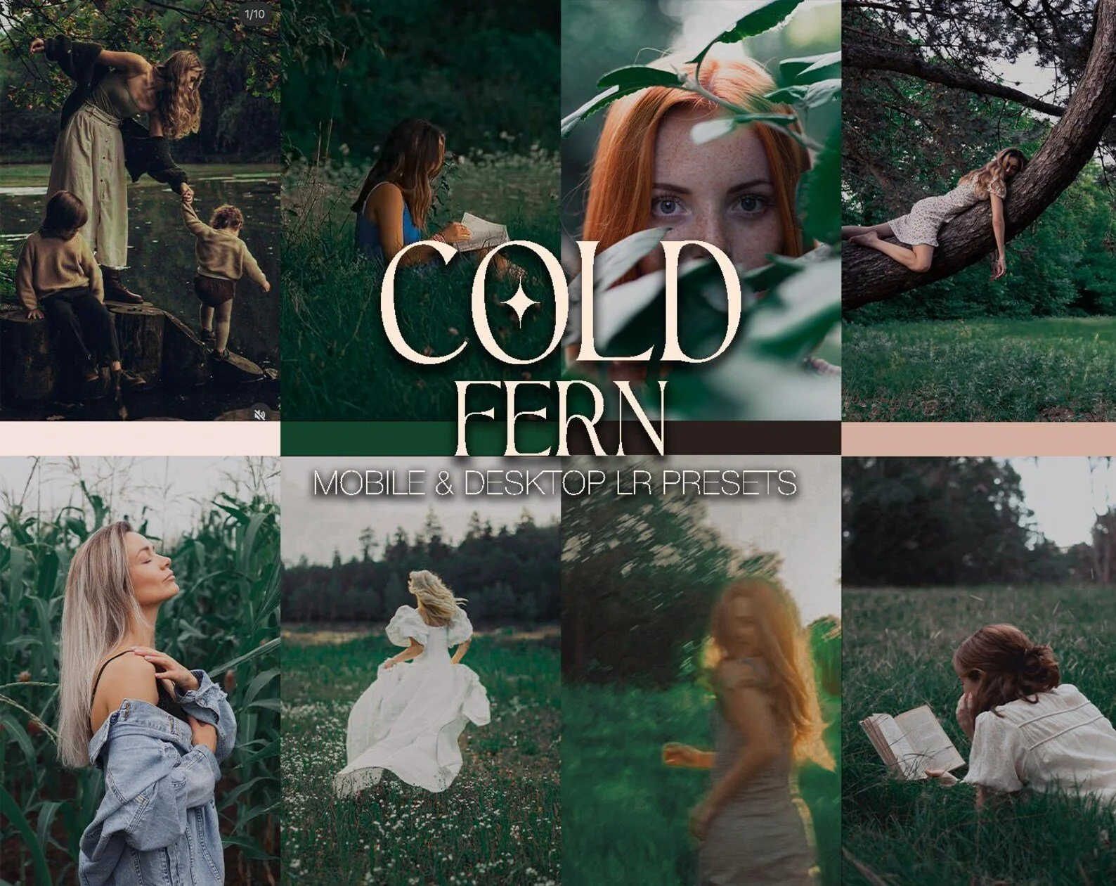 Coldfern Photo Presets