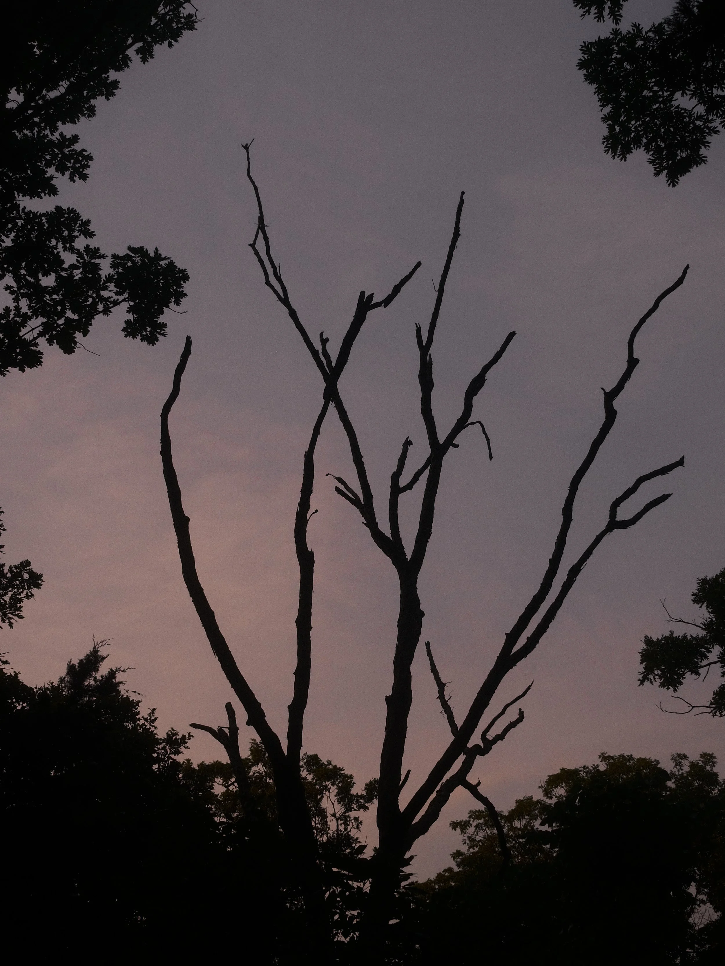 DSCF0341.jpg