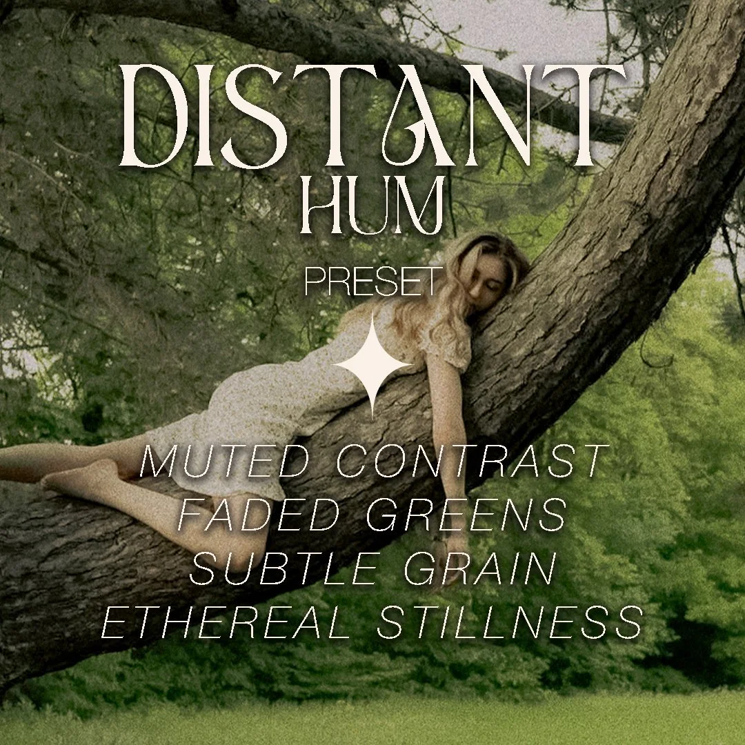 DISTANT HUM preview.jpg