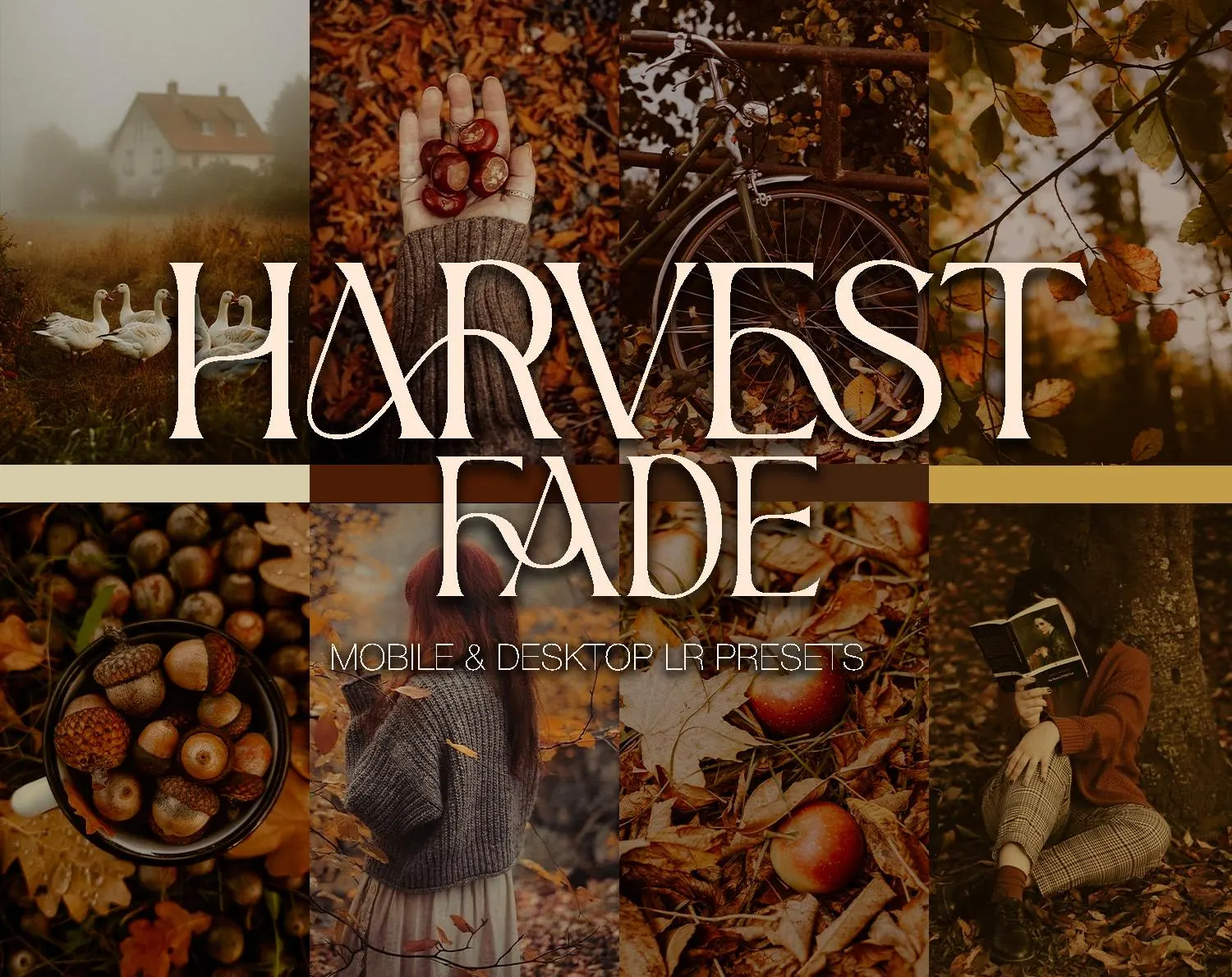 Harvest Fade Photo Presets