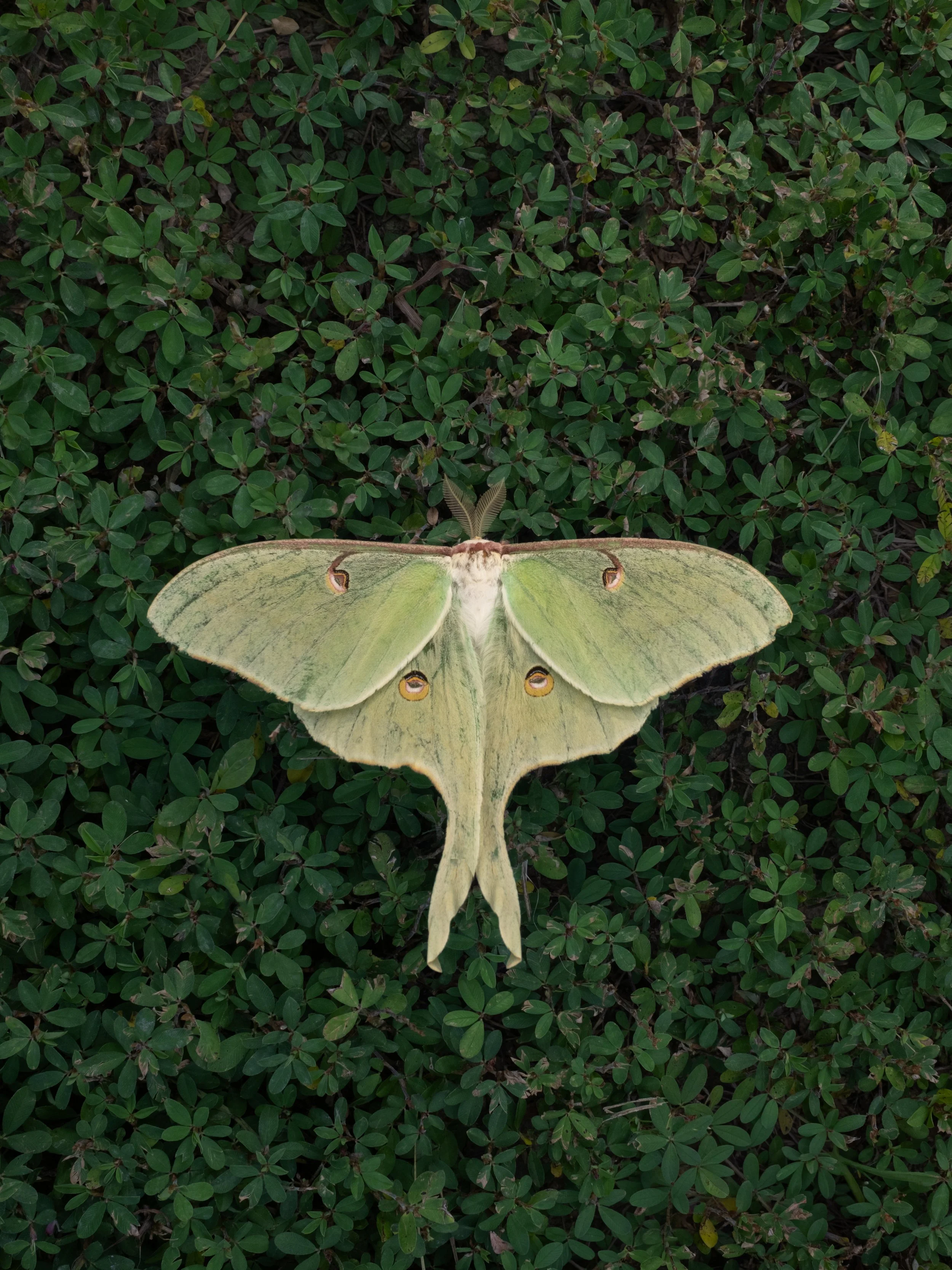 DSCF1083.jpg