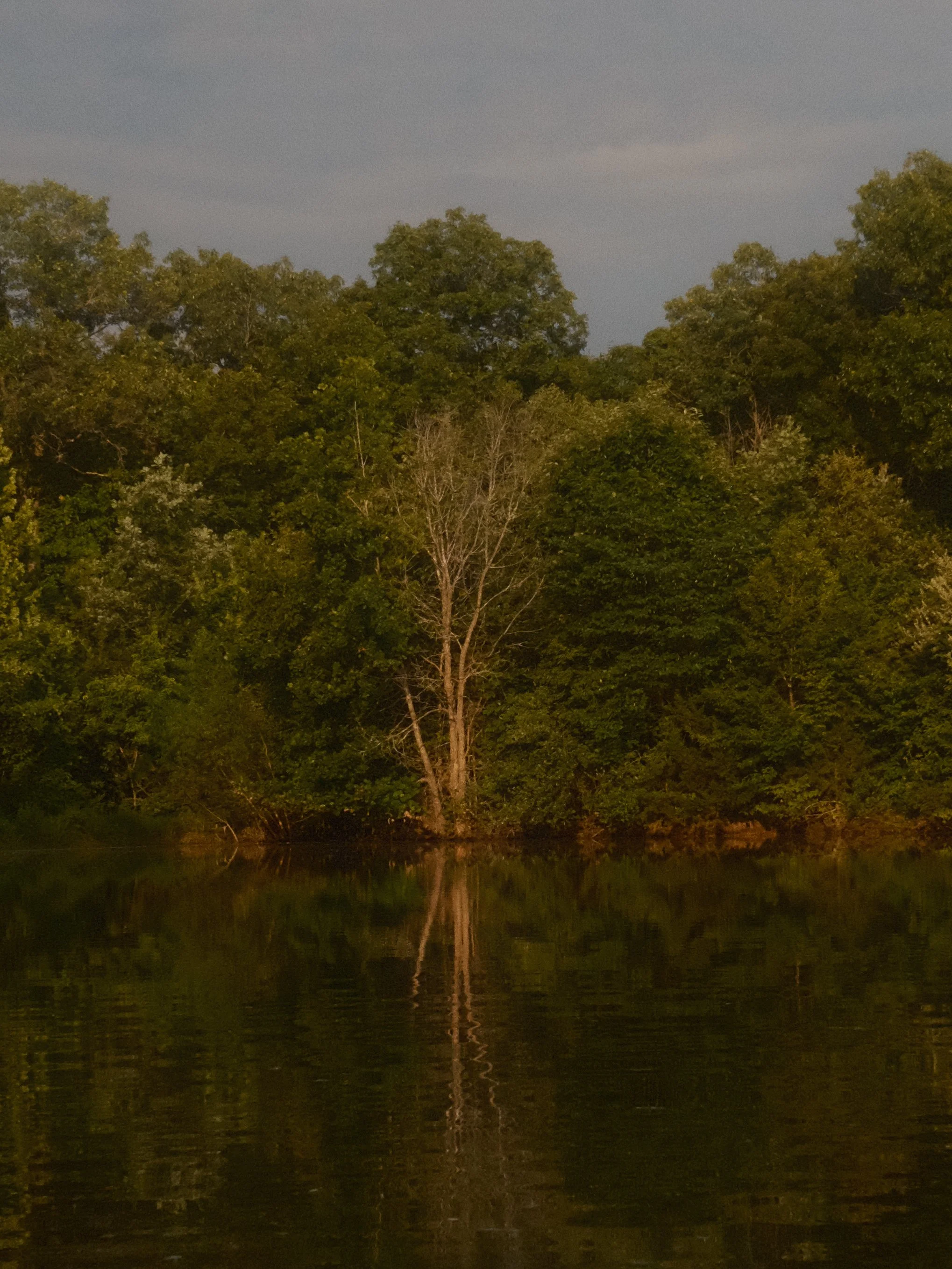DSCF0086.jpg