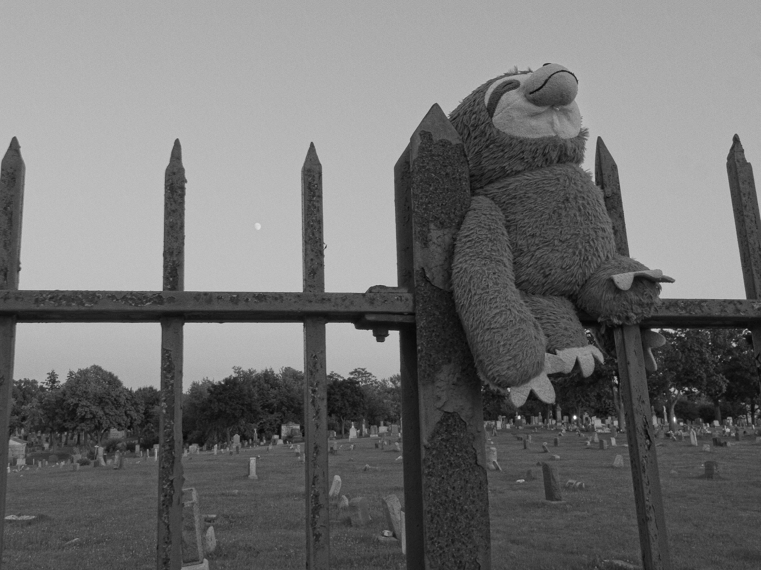 P1080397.jpg