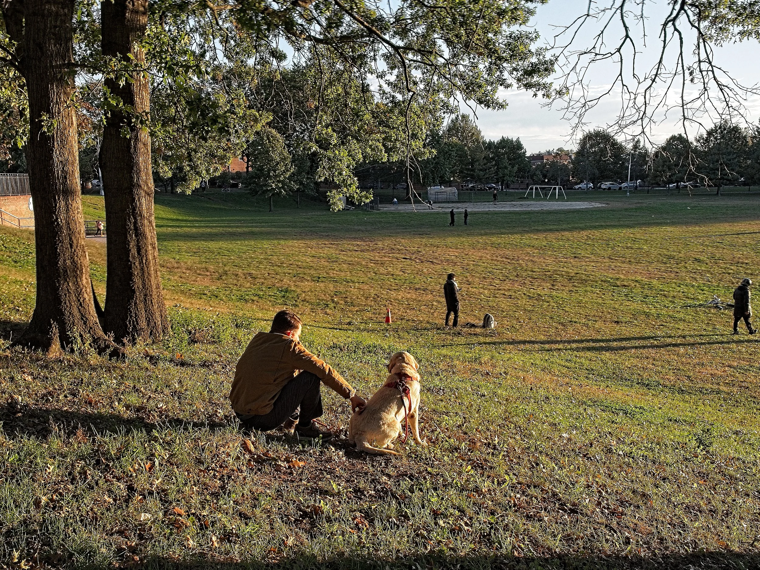 261017_111_PANA_0162.jpg