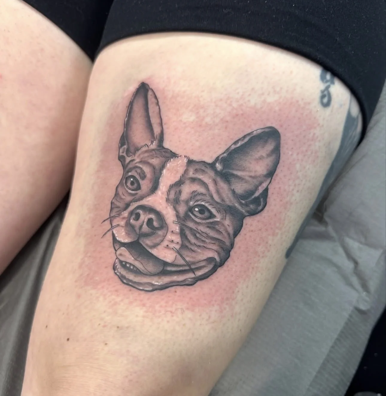 Tattoo of a French Bulldog's face on a person's thigh.