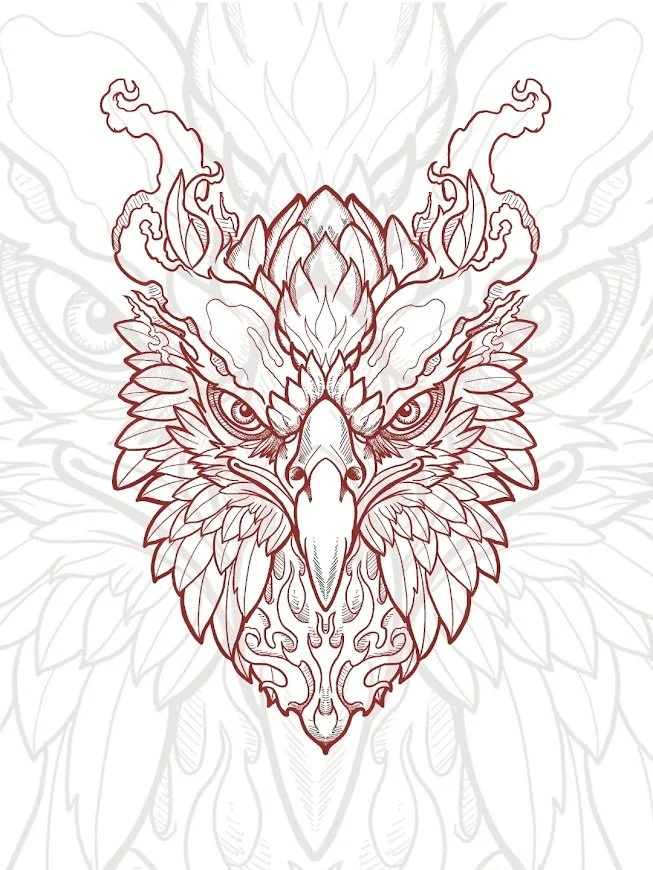 Line art illustration of a mythical pheniox head with intricate details, horns, and fierce eyes.