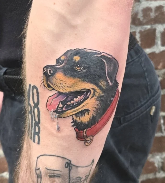 Tattoo of a Rottweiler dog on a person's arm, showing the dog's face with a red collar, drooling, with the text '1988' nearby.