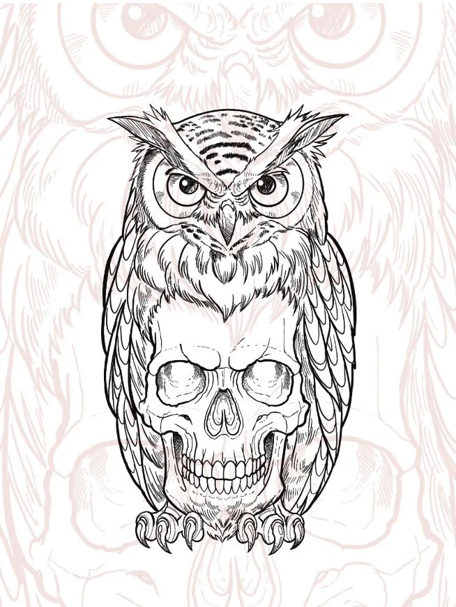 Black and white illustration of an owl perched on a human skull, with detailed feathers and sharp beak.