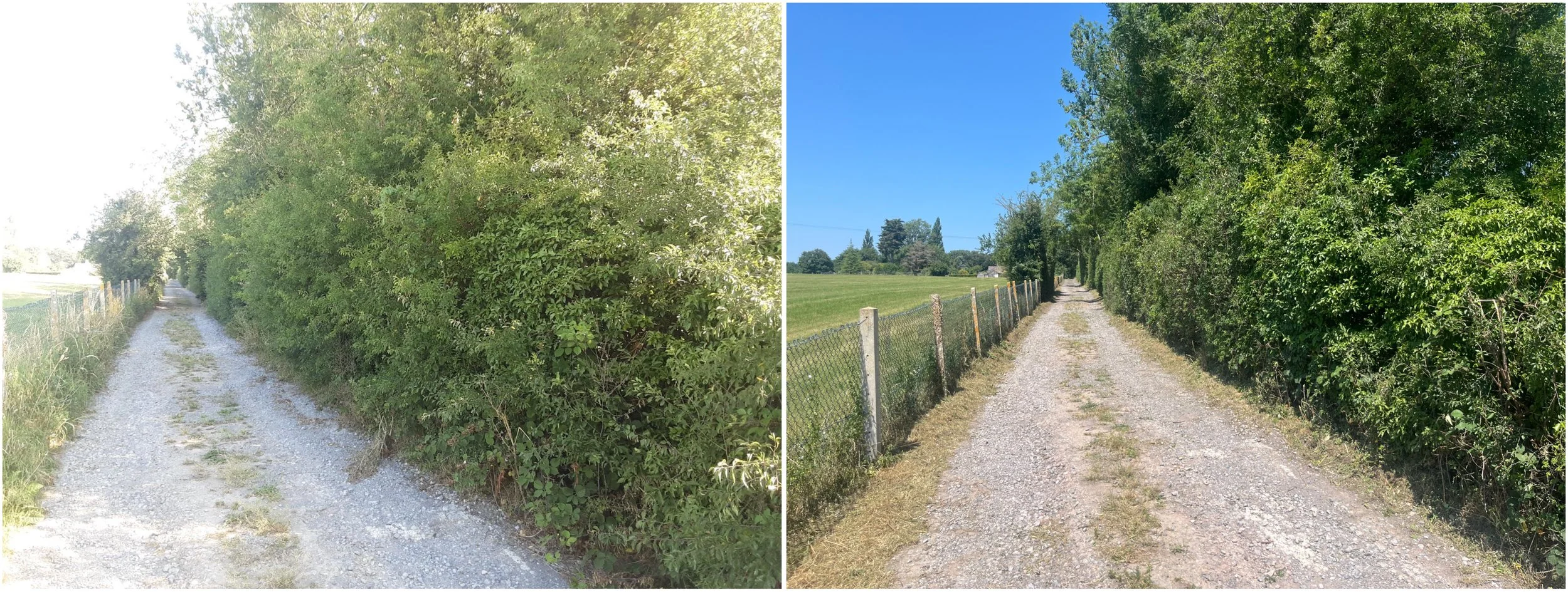 Domestic and Commercial Property Vegetation Clearances