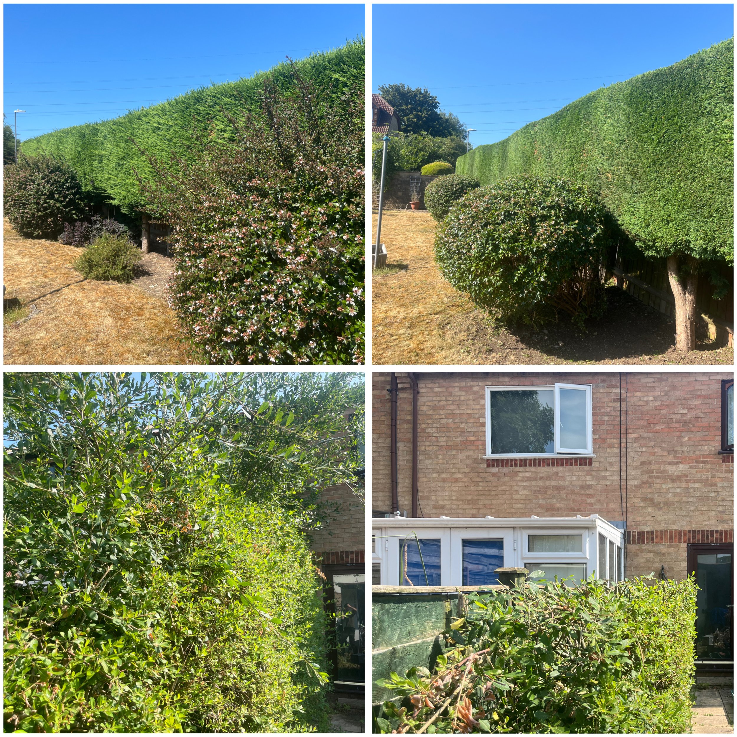 Grounds Maintenance