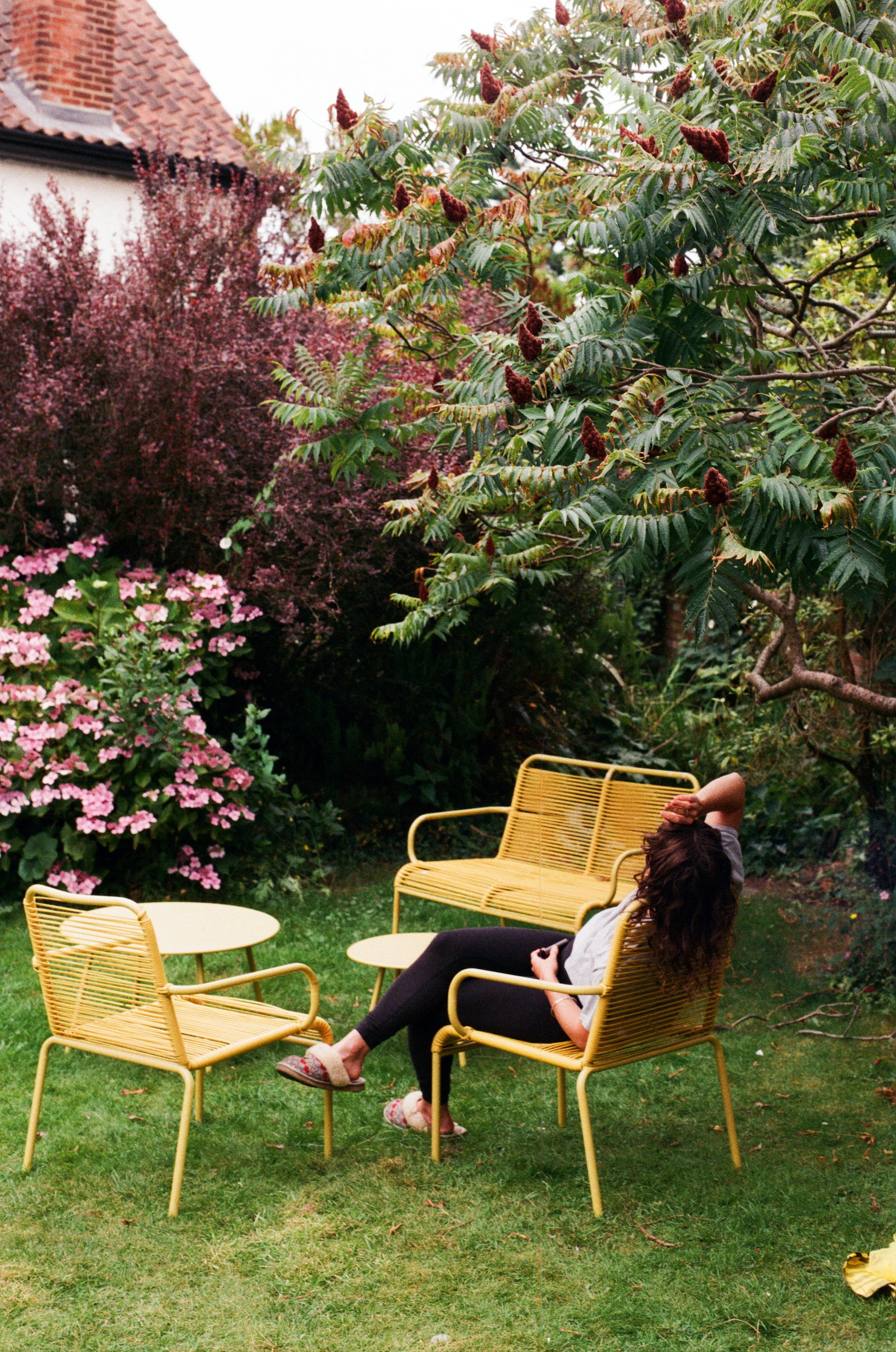 garden.jpg