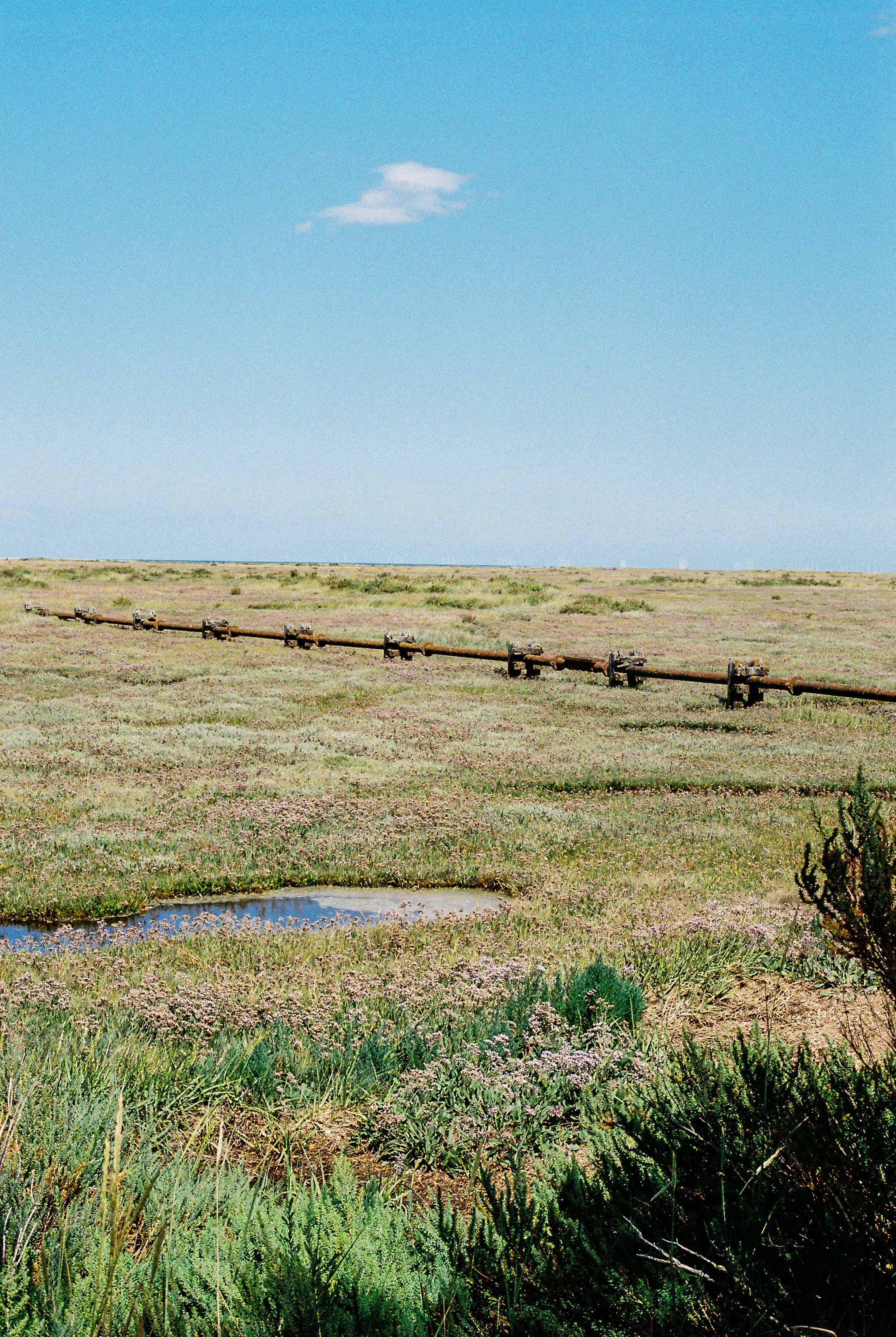 R1-02732-014A.jpg