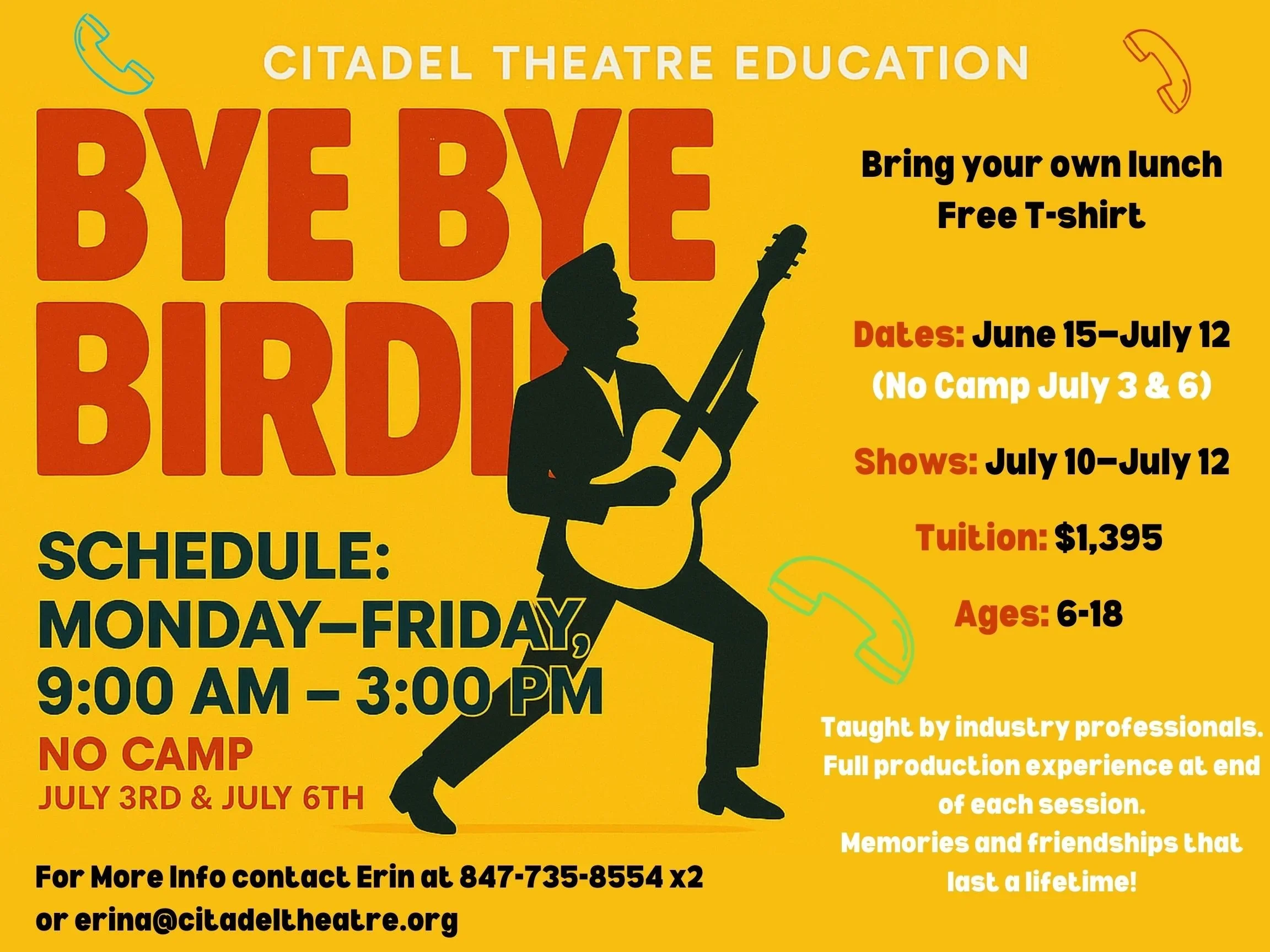 Bye Bye Birdie