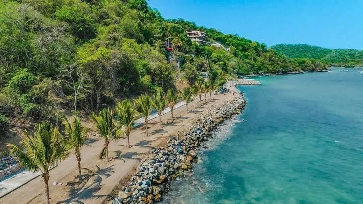 Camino junto a la playa con palmeras y un mar azul, en una costa rodeada de vegetación