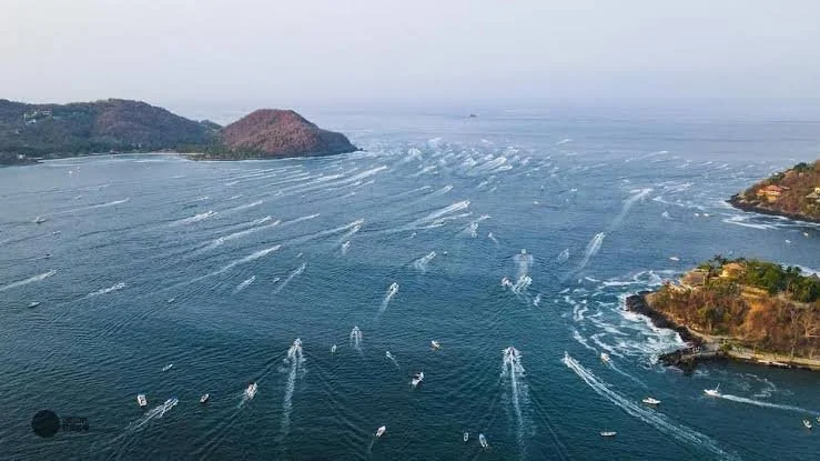 Vista aérea del mar con muchas embarcaciones creando estelas en el agua, cerca de costa con vegetación y una isla.