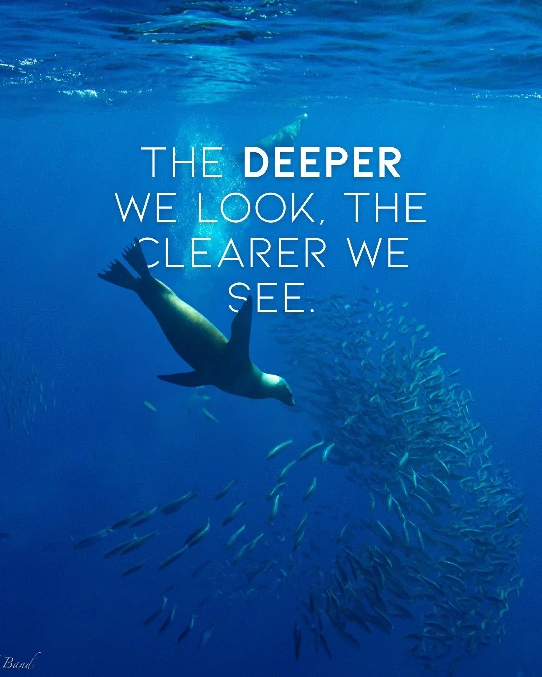 How we see others often begins with how honestly we see ourselves. 🌊

This Sunday, we continue our Deep Dive into the Sermon on the Mount with Seeing Underwater, exploring Jesus&rsquo; words about judgment, grace, and how we treat one another.

Join