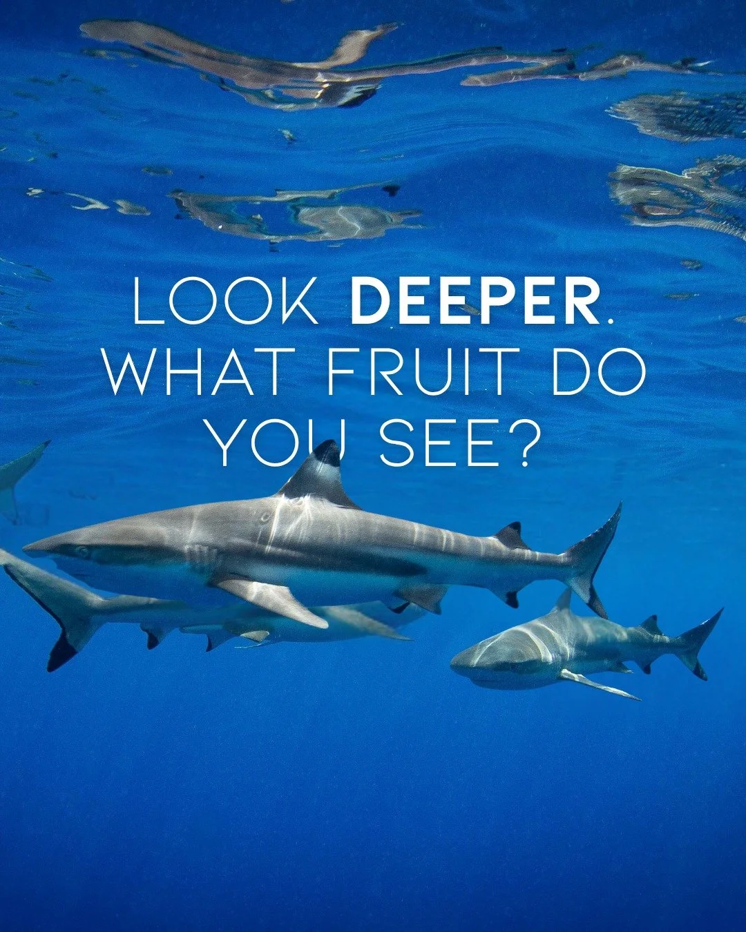 Jesus reminds us that what we bear reveals something about what is growing within. This Sunday, we continue our journey through the Sermon on the Mount and explore what it means to recognize faith by its fruit.

Join us at Hunt&rsquo;s this Sunday fo