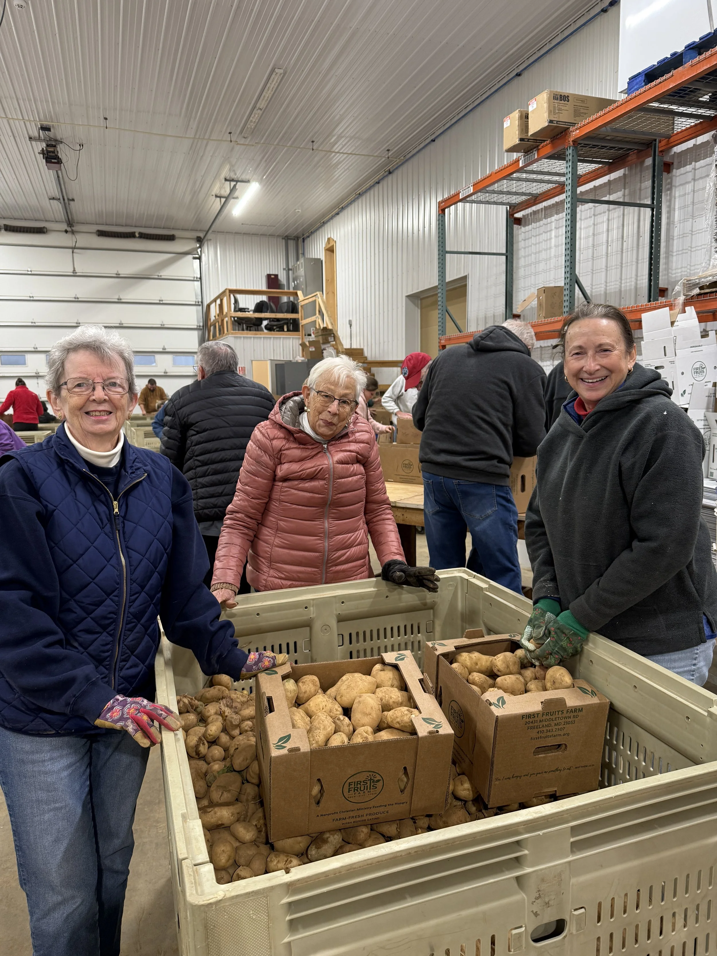 People sorting and packaging potatoes in a warehouse, with shelves and boxes in the background.