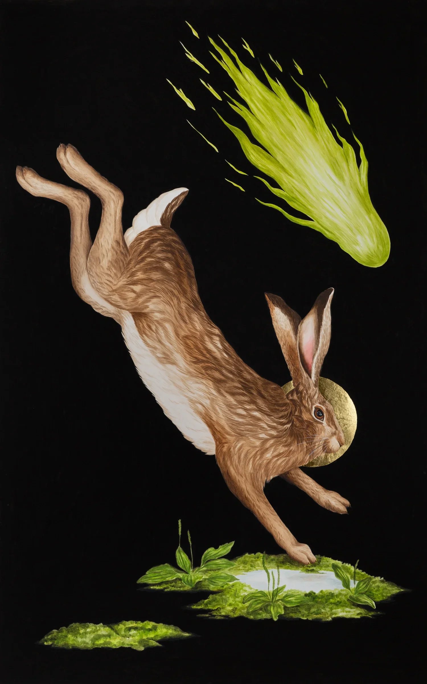 SOPHIE MCVICAR