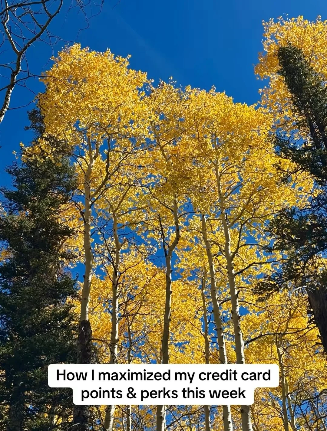 This past week I took a girls&rsquo; trip to Colorado and had some spending for upcoming events. Here&rsquo;s how I maximized my credit card points and travel perks during the week:

✈️ Travel Savings &amp; Earnings:
* Used my $10 Lyft credit + an ad