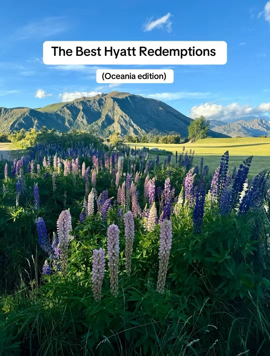 Using Chase points for Hyatt stays is one of my top travel hacks! 

Here is a list of some of the best Hyatt redemptions in Oceania (Australia, New Zealand): 

* Park Hyatt Sydney: 35,000 points
* Hyatt Regency Sydney: 12,000 points 
* Park Hyatt Mel