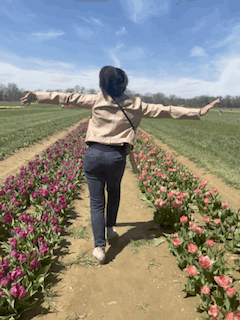 743AA7C5-E243-4C48-B826-7A027D7E7881.GIF