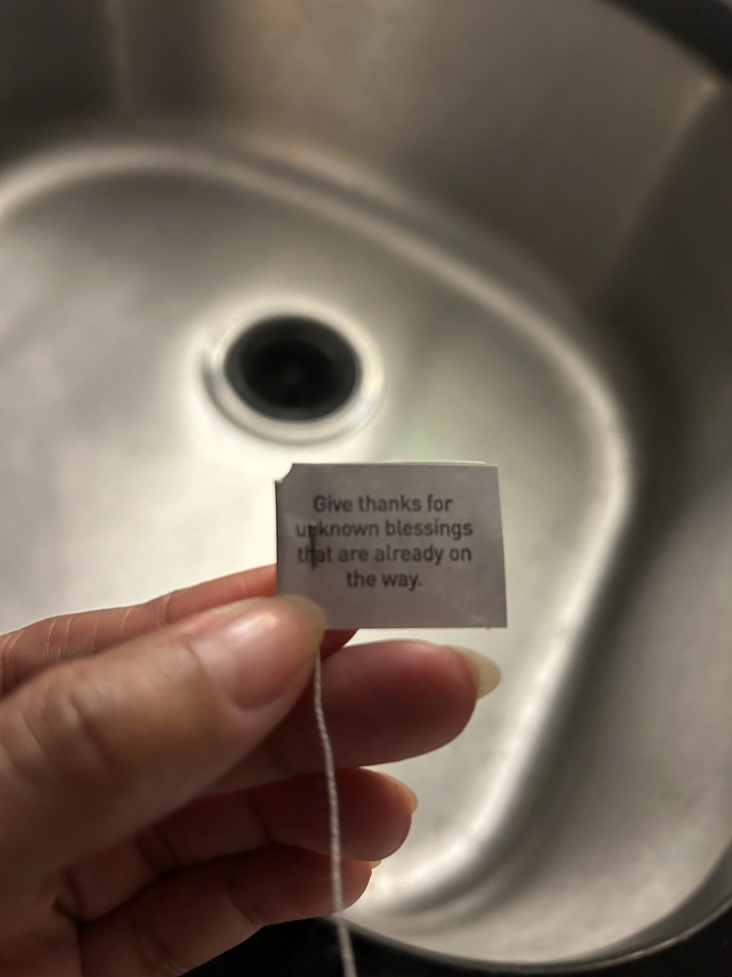 IMG_1769.jpeg