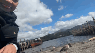 95FD2A2E-36E9-400E-A083-E3B8A6B0165F.GIF
