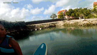 CF4981C4-0D25-4734-A9BD-98DC128178E2.GIF