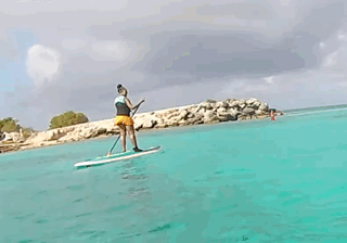 8F9EDEFA-ED6F-4C7D-8926-D0AECD9C9870.GIF