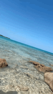 4516DD1A-B874-4251-98AF-96C276D8E6EB 2.GIF