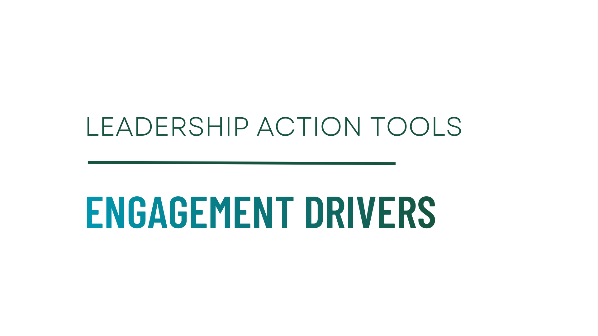 Engagement Drivers Audit Tool (LAT Series)