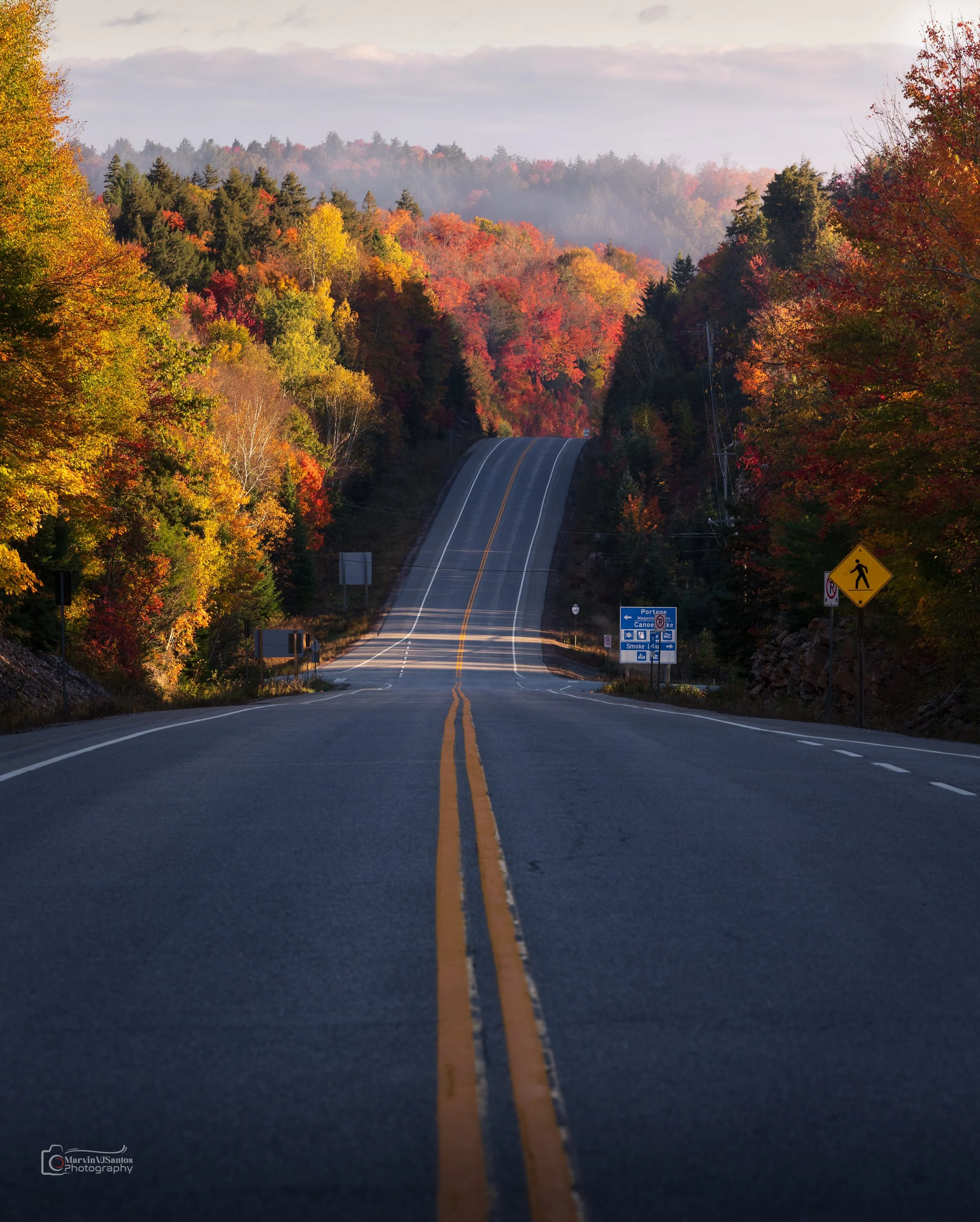 MLR62166-Edit.jpg