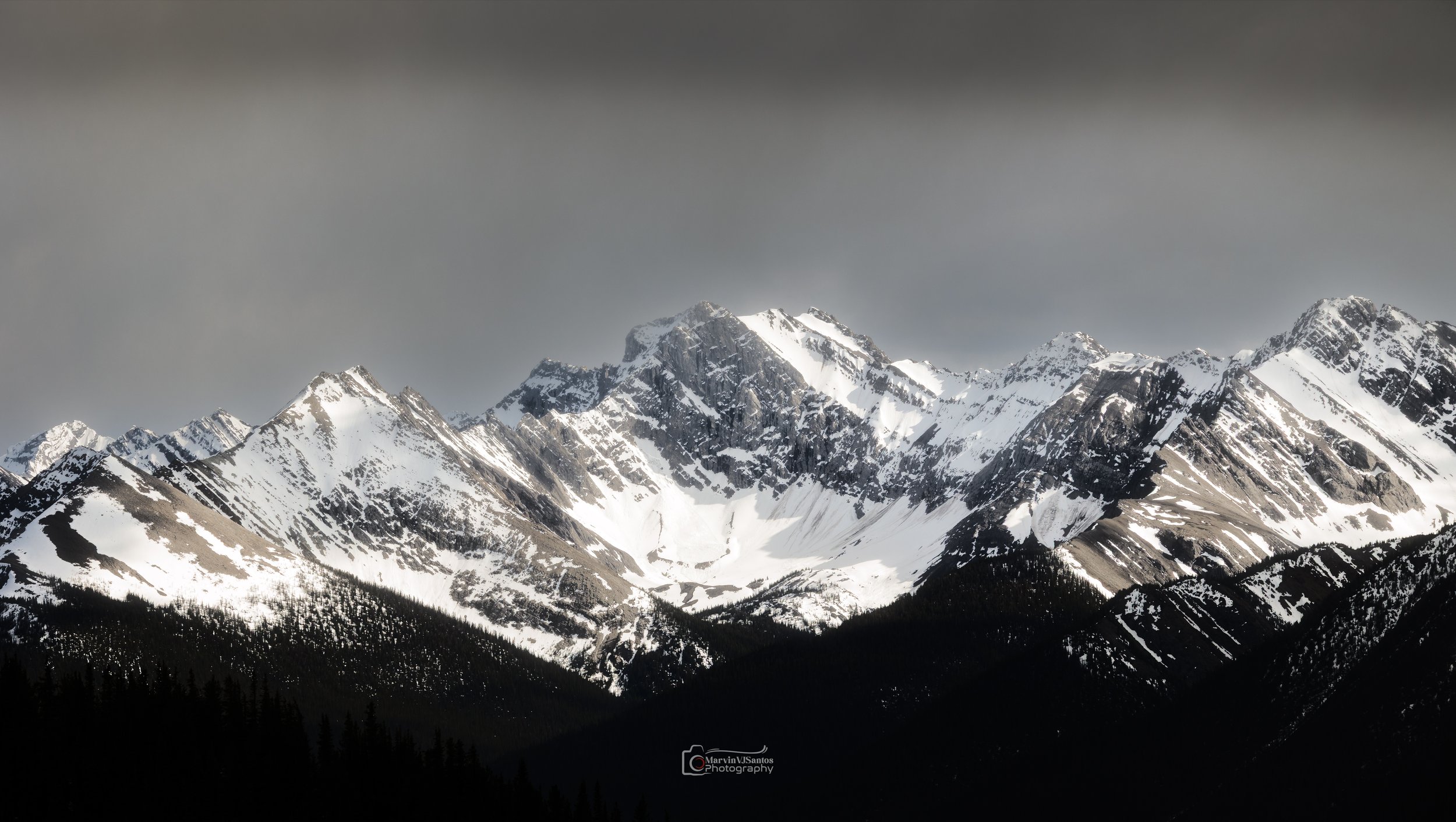 MLR66795-Edit.jpg