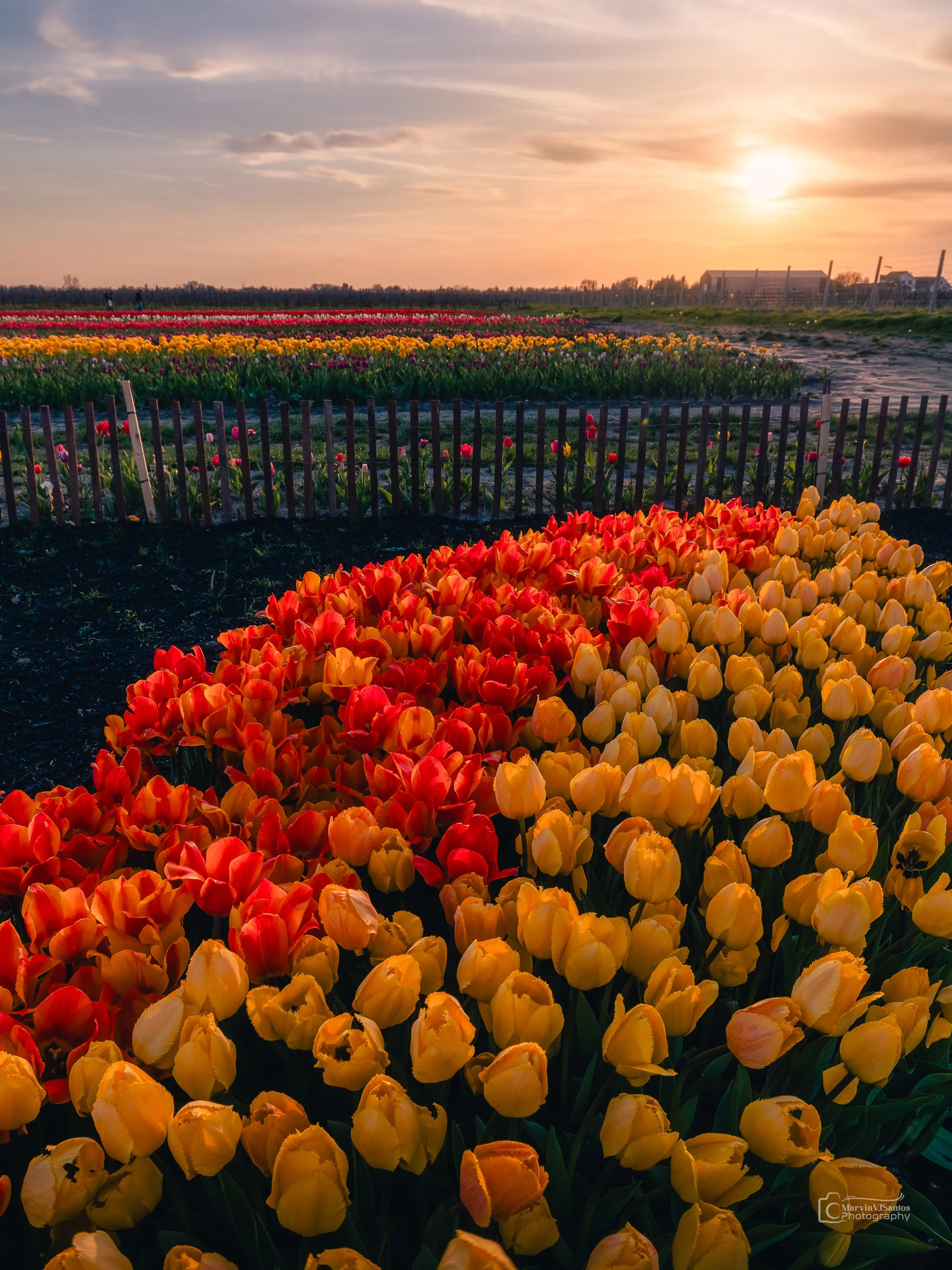 MLR67524-HDR-Edit.jpg