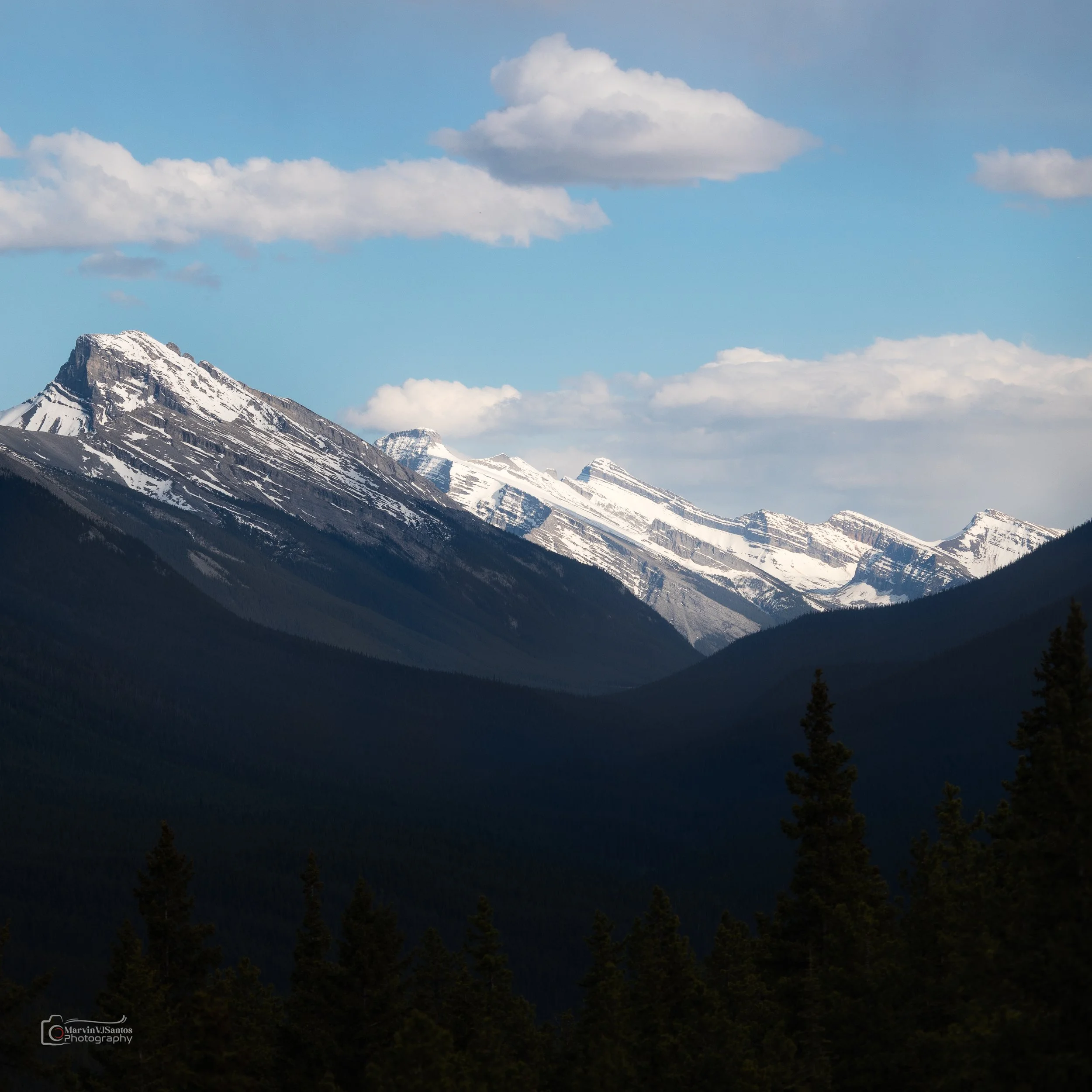 MLR66804-Edit.jpg
