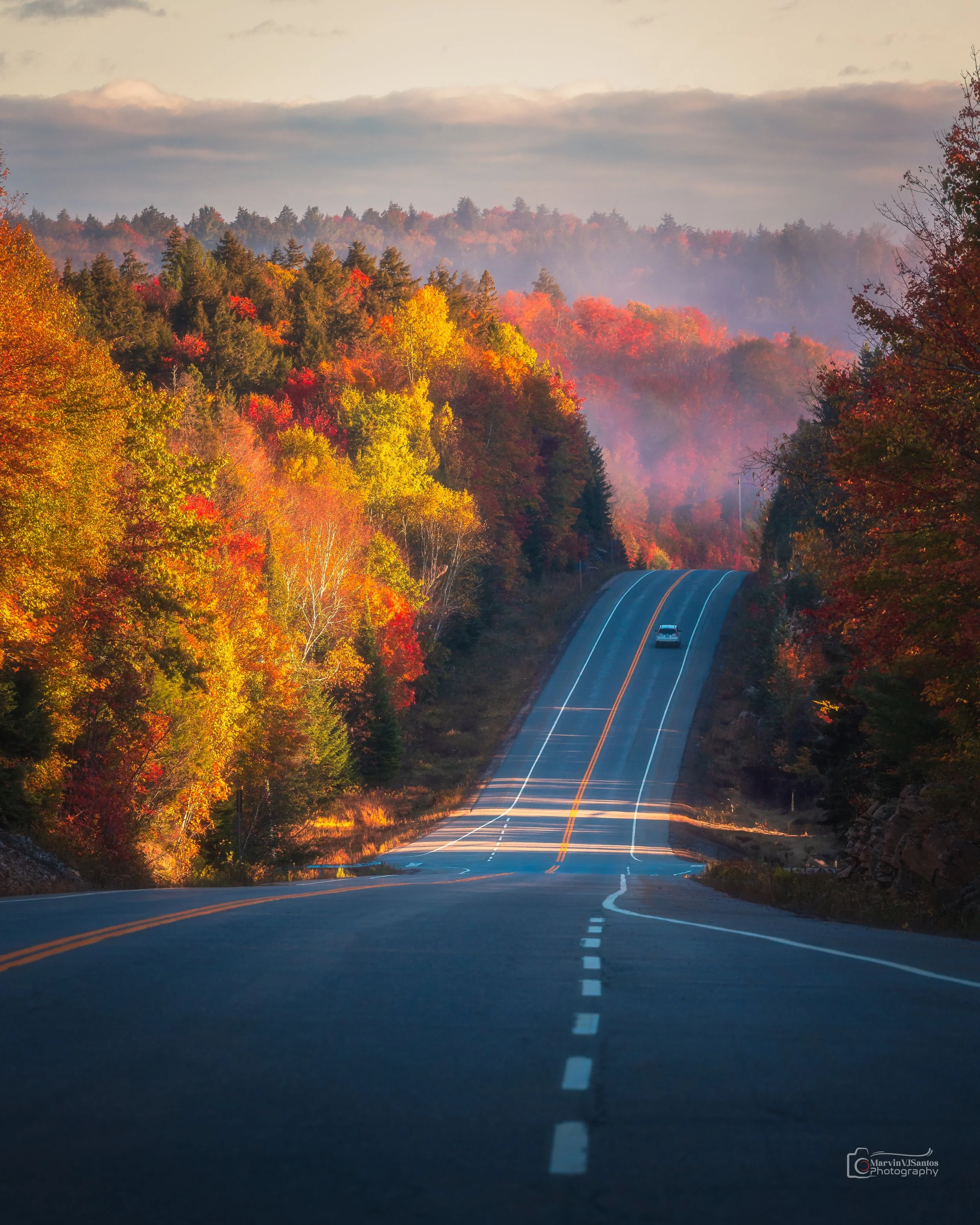 MLR62145-Edit.jpg
